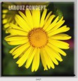 /album/photo-gallery-canvas-uri/decoratiuni-de-perete-canvas-lc-0497-jpg/